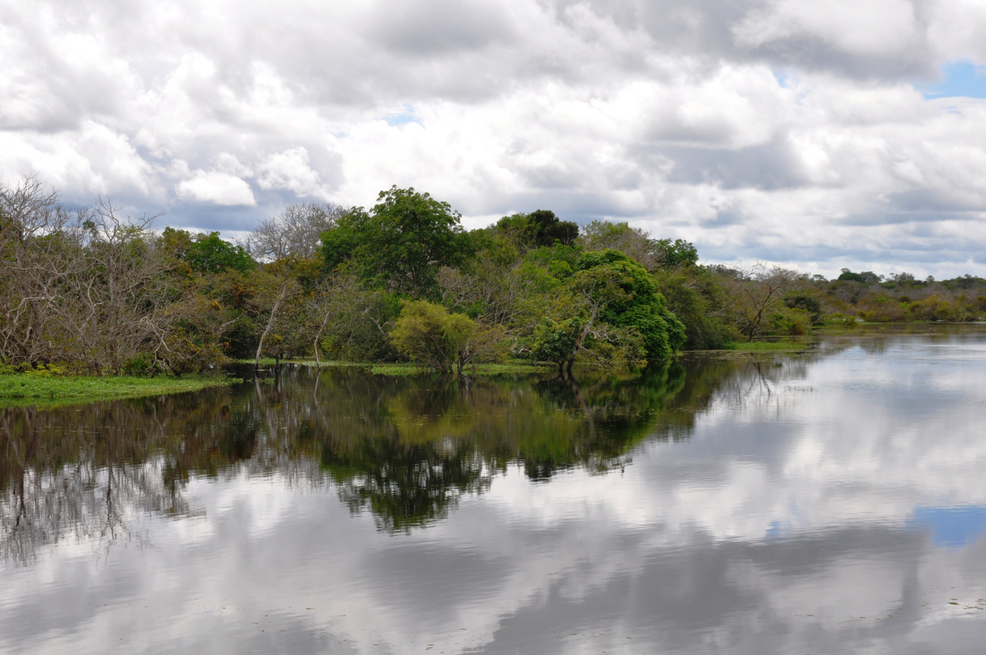 Brazylia - Manaus - Amazonka